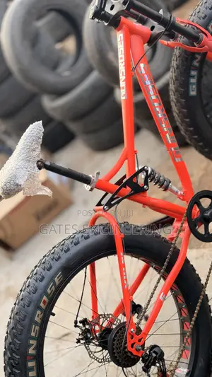Fat Tire Bike