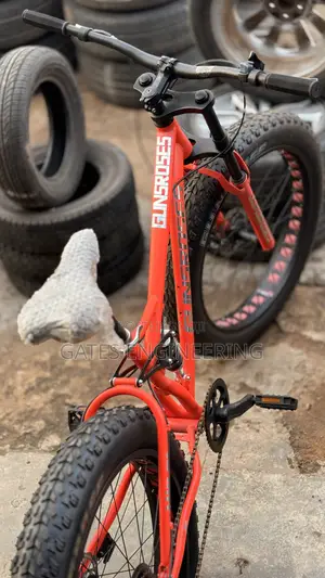 Fat Tire Bike