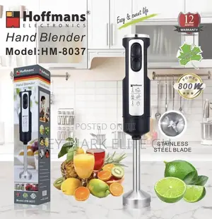 Powerful Hoffman Electric Hand Blender