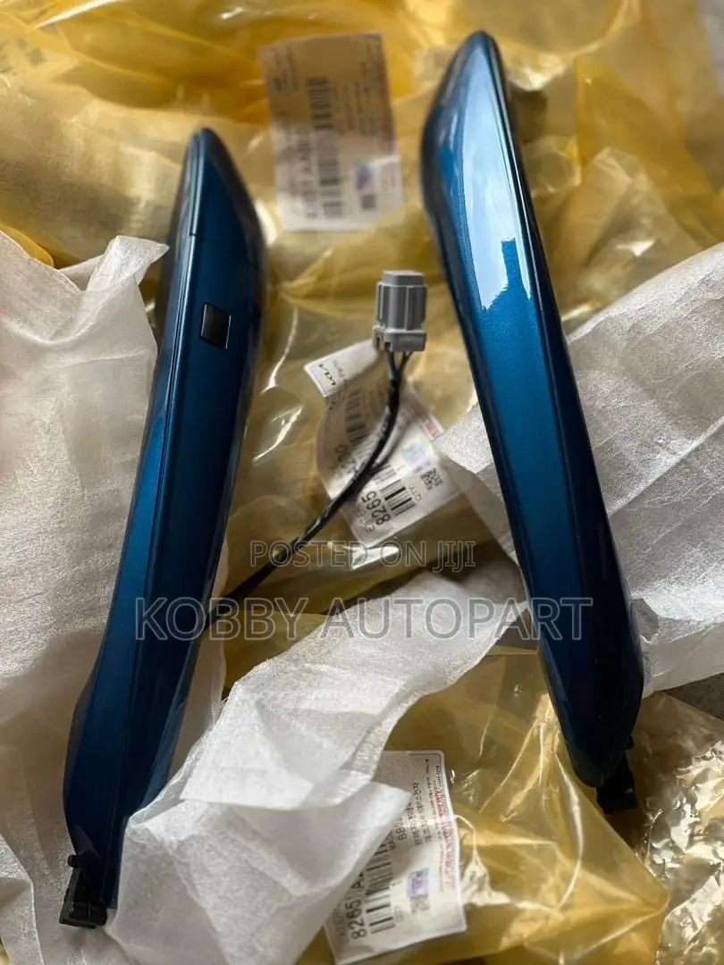 Elantra Door Handle 2021 2022 2023 2024 2025