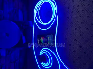 The Neon Edge Lights With Bluetooth Control