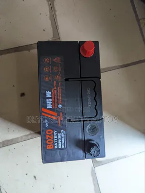 High Quality German Technology 11 Plate Battery
