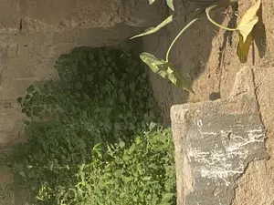 Genuine Land and Uncompleted House for Sale.