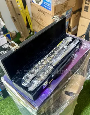 Metallic Flute With Case