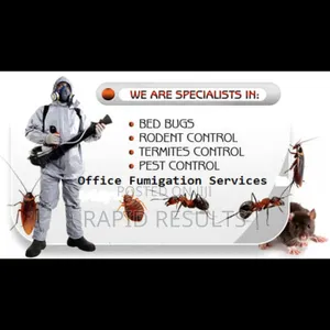 Odorless and Organic Chemicals Fumigation Against All Kinds of Pest