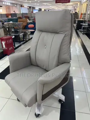 Ceo Office Chair / Executive Swivel Chair