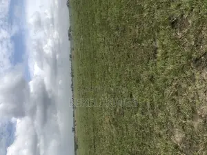 Lands for Sale~At Prampram Fr Sale With Water Electricity