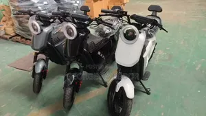 New Atul RIK 2024 Gray