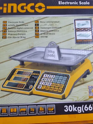 Ingco Electronic Scale 30kg / Charger