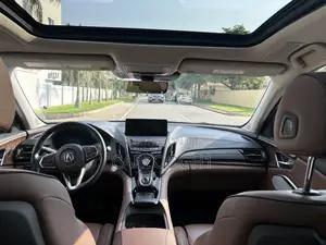 Acura RDX Advance Pkg SH-AWD 2020 Gray