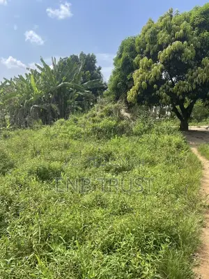 1 Plot of Land for Sale at Asalaja