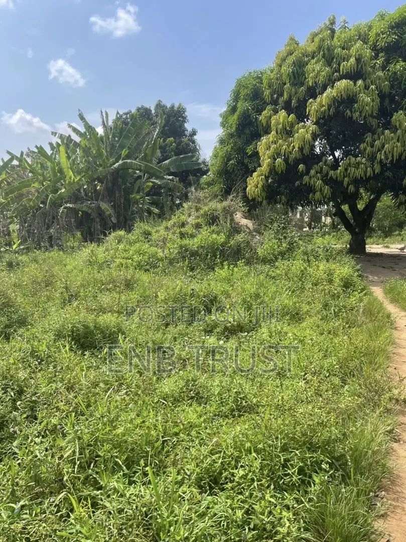 1 Plot of Land for Sale at Asalaja