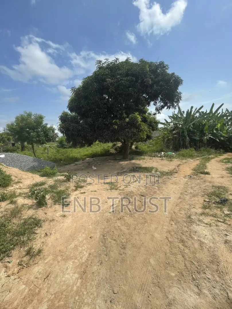 1 Plot of Land for Sale at Asalaja