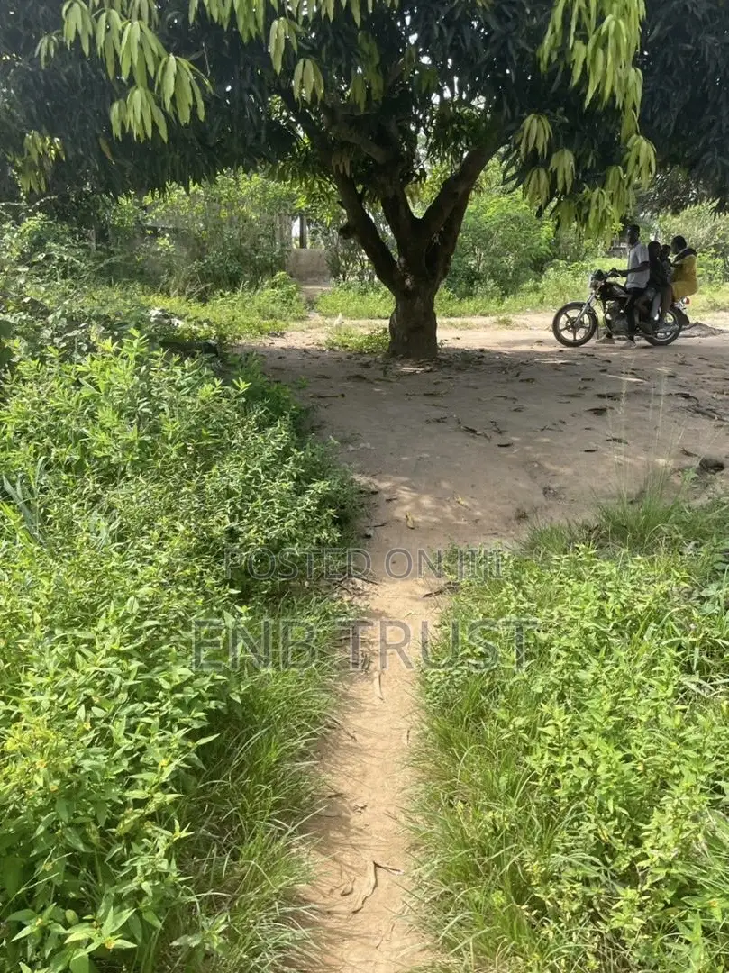 1 Plot of Land for Sale at Asalaja