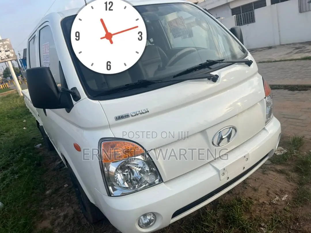 Hyundai Potter