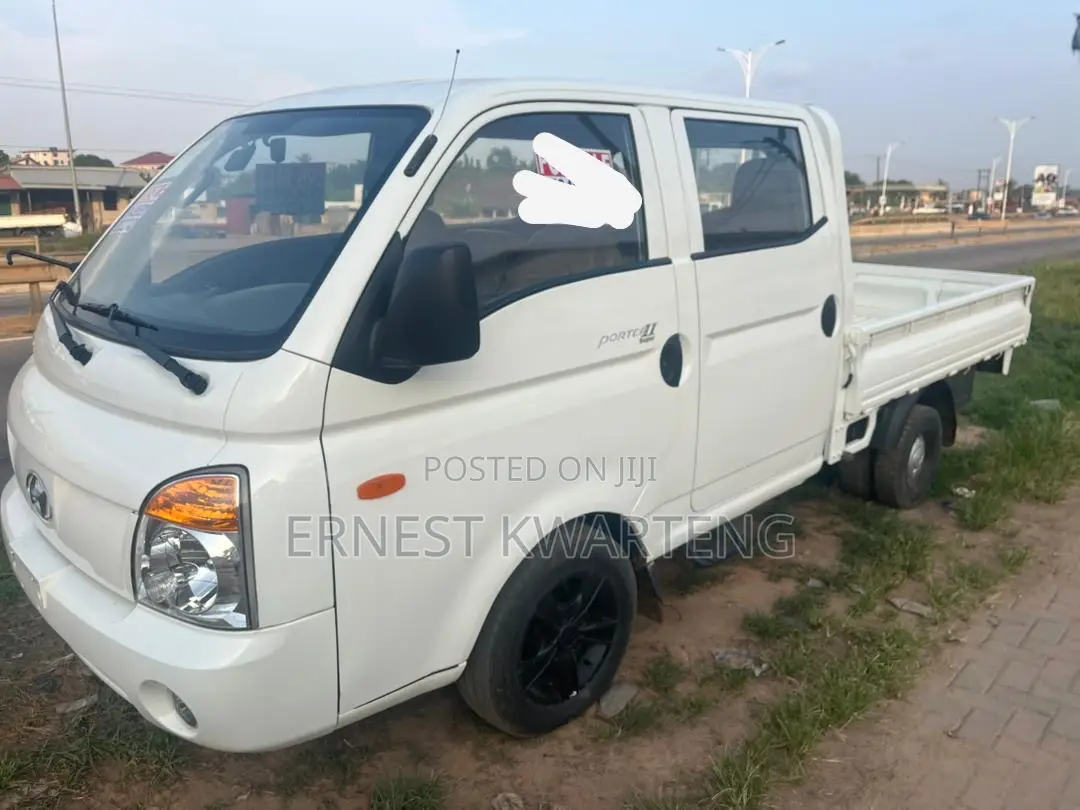 Hyundai Potter