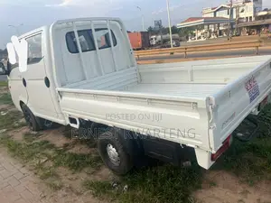 Hyundai Potter