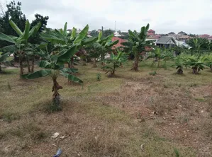2 Plot Of Land For Sale At Agric Kromoase