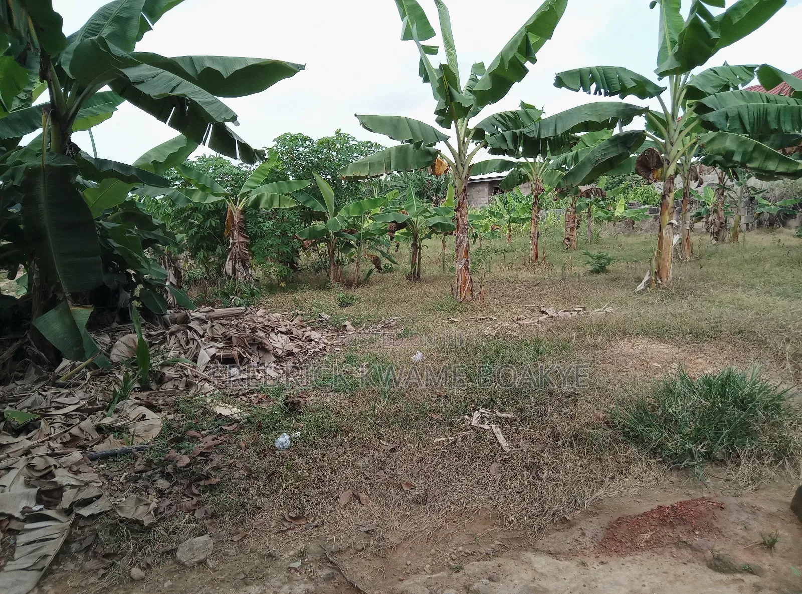 2 Plot Of Land For Sale At Agric Kromoase