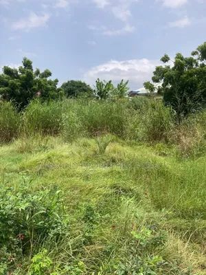 For Sale 50 Acres of Land 
Title
 Dawa
