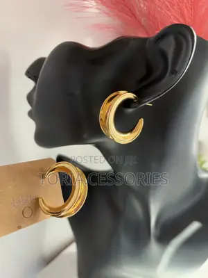 Fashion Earrings