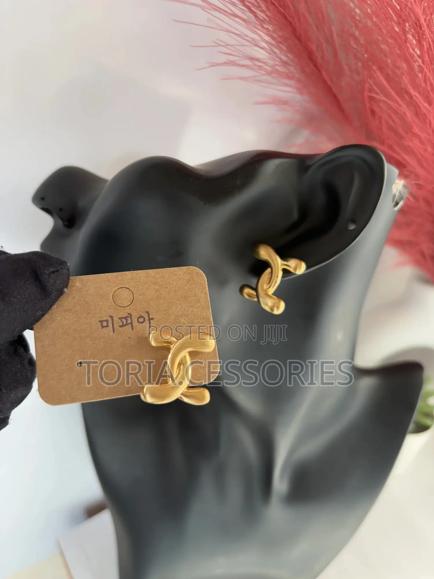 Fashion Earrings