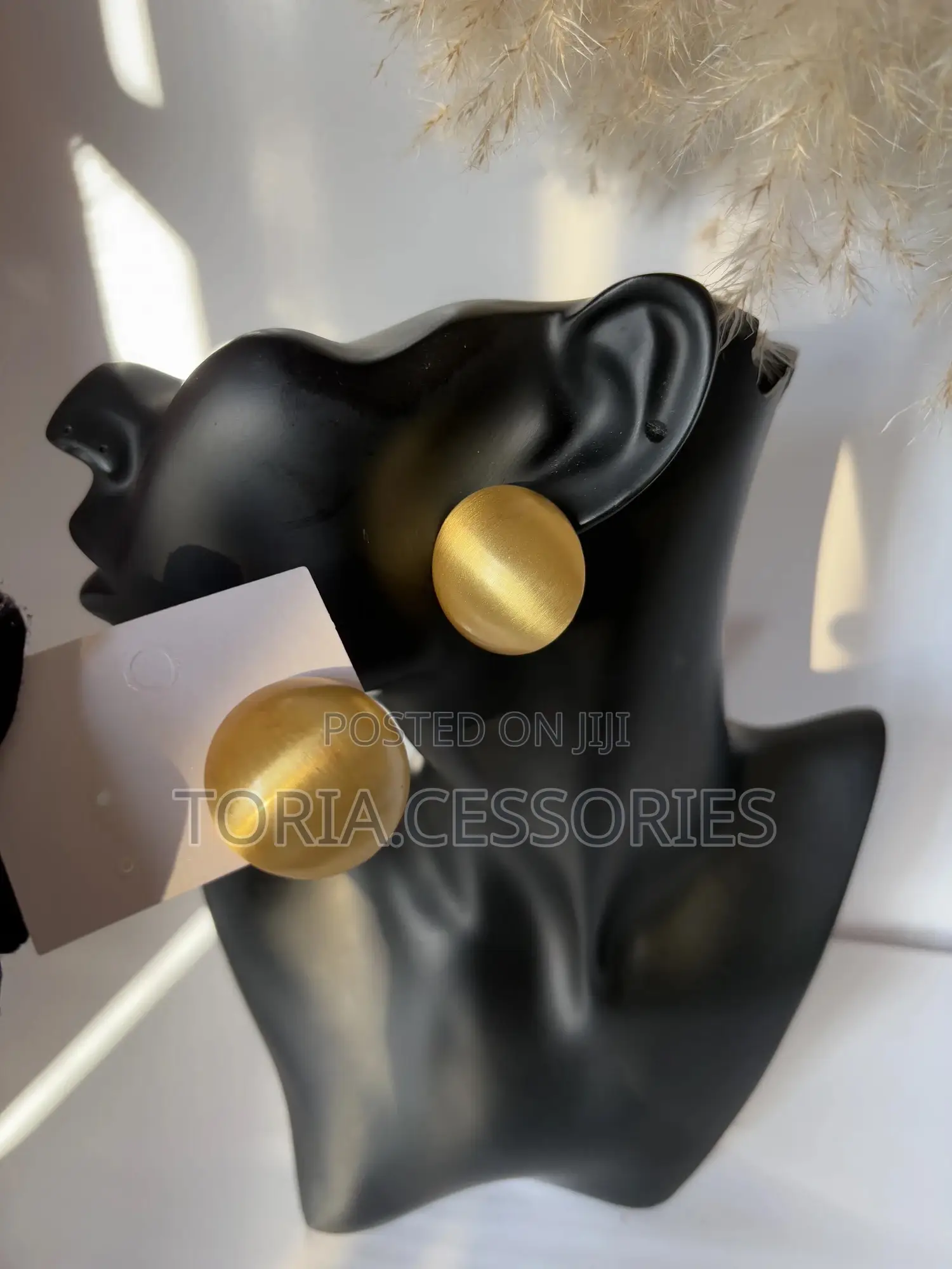 Fashion Earrings