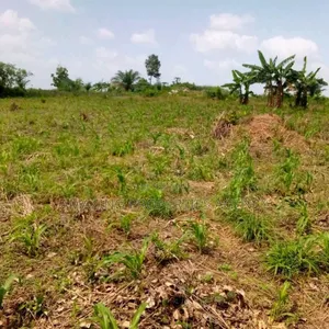 11 Acres of Prime Area Main Roadside Land for Sale at Tema Motorway