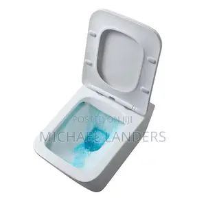 Concealed Wc Wall Toilet Seat