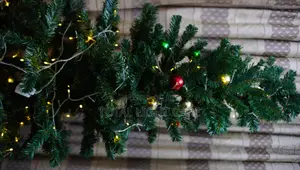 180cm Christmas Tree Without Light