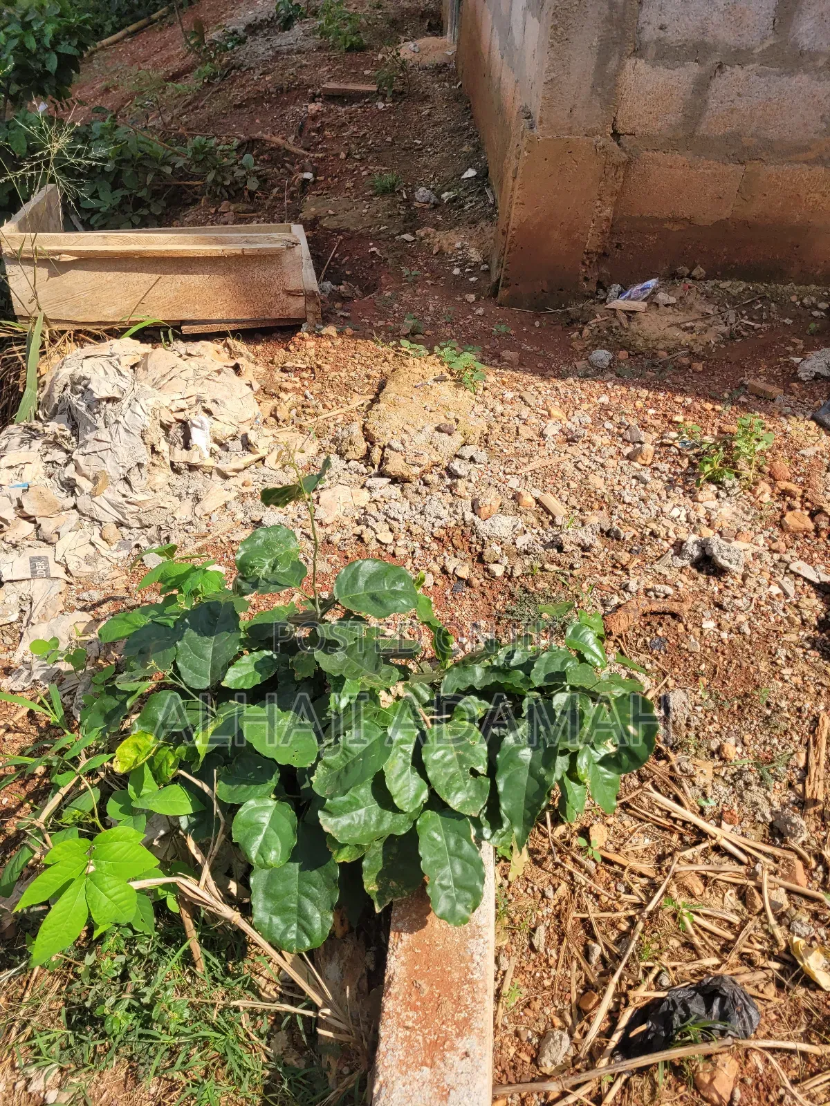 Land for Sale at Santa'si Darko Near Main Road