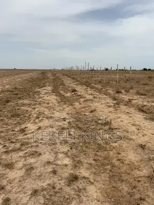 Lands for Sale: (Dawa-Urban City) No Litigation