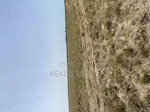 Settle for Peace: Lands for Sale at Prampram New Airport City