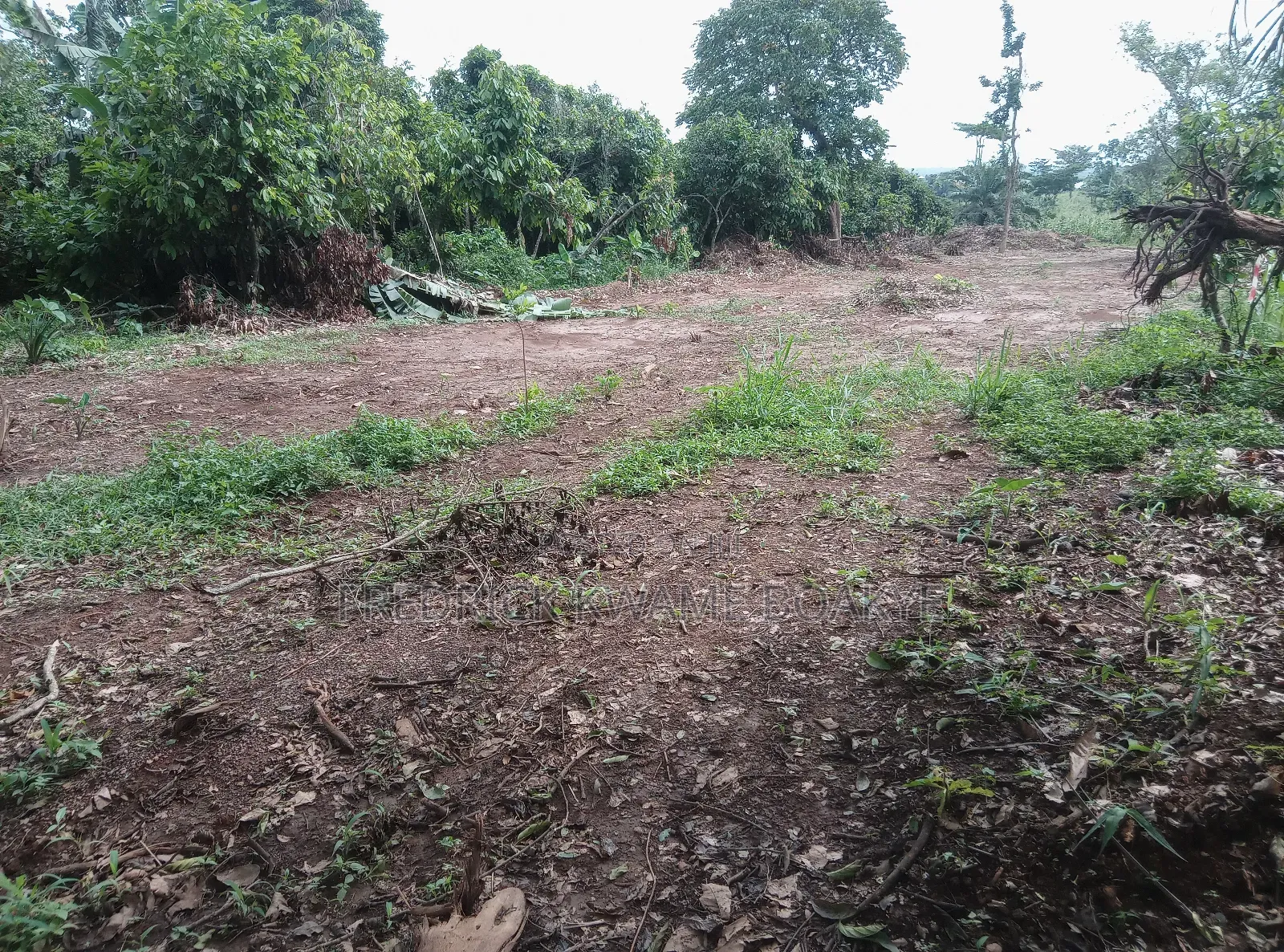 20 Acres of Land for Sale at Abuakwa Atwima Area