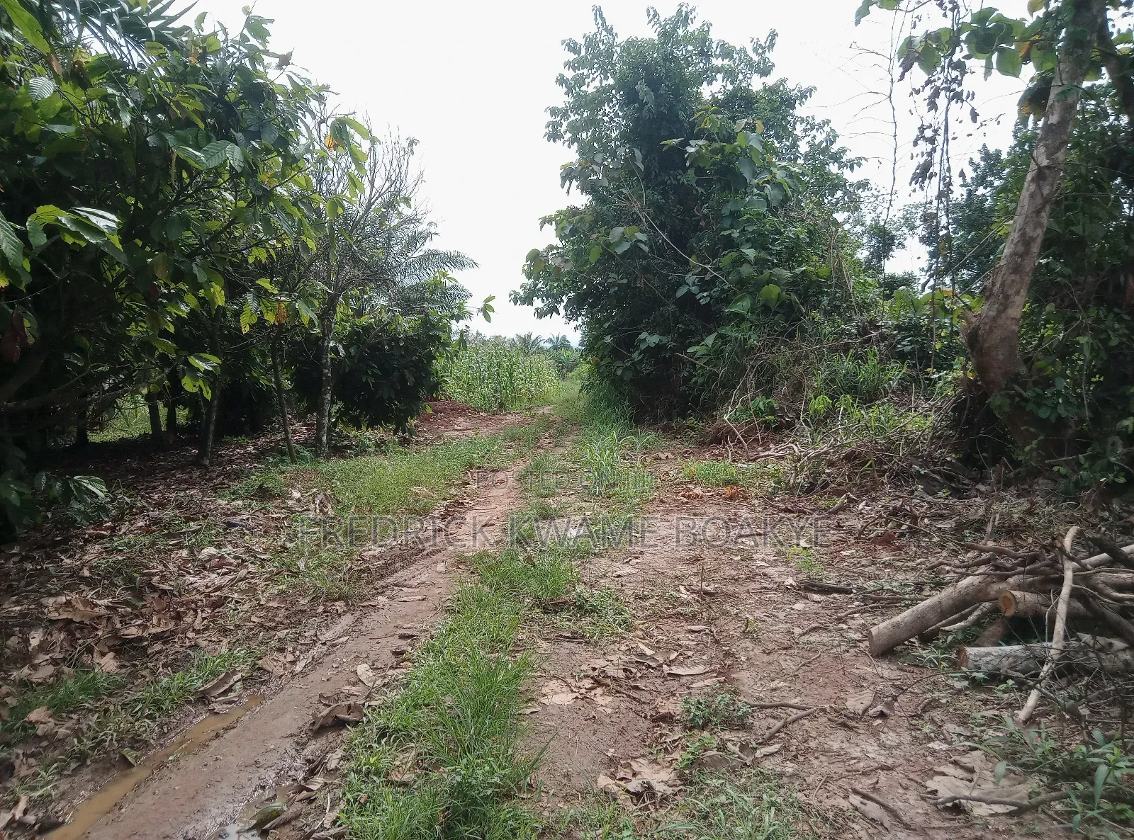 20 Acres of Land for Sale at Abuakwa Atwima Area