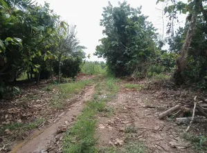 20 Acres of Land for Sale at Abuakwa Atwima Area
