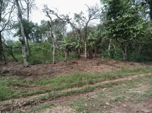 20 Acres of Land for Sale at Abuakwa Atwima Area