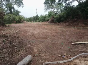20 Acres of Land for Sale at Abuakwa Atwima Area