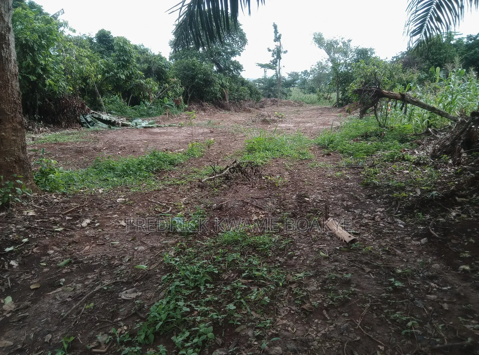 20 Acres of Land for Sale at Abuakwa Atwima Area