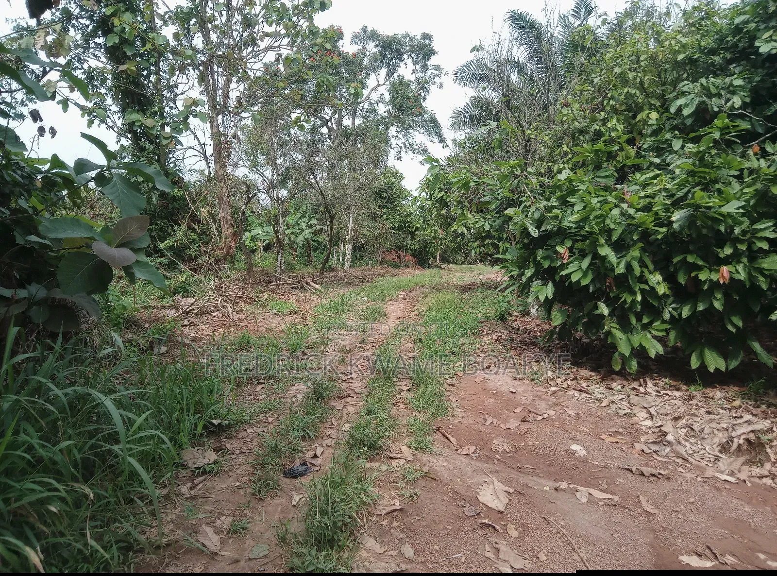 20 Acres of Land for Sale at Abuakwa Atwima Area