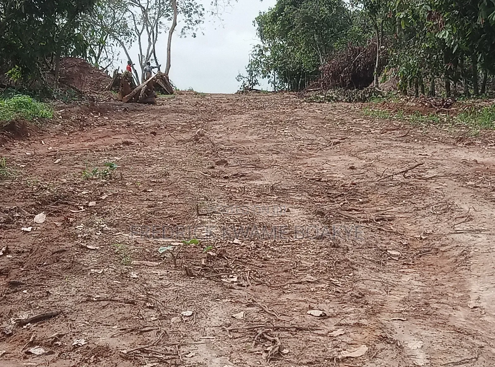 20 Acres of Land for Sale at Abuakwa Atwima Area