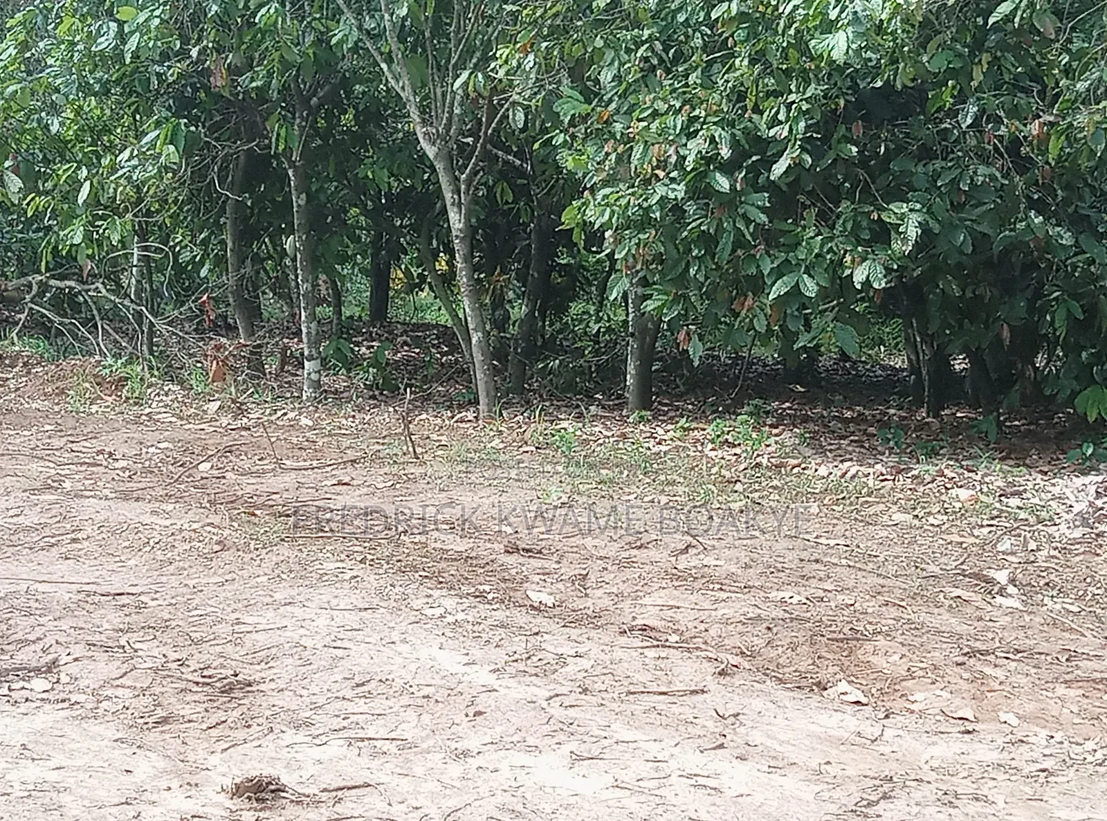 20 Acres of Land for Sale at Abuakwa Atwima Area