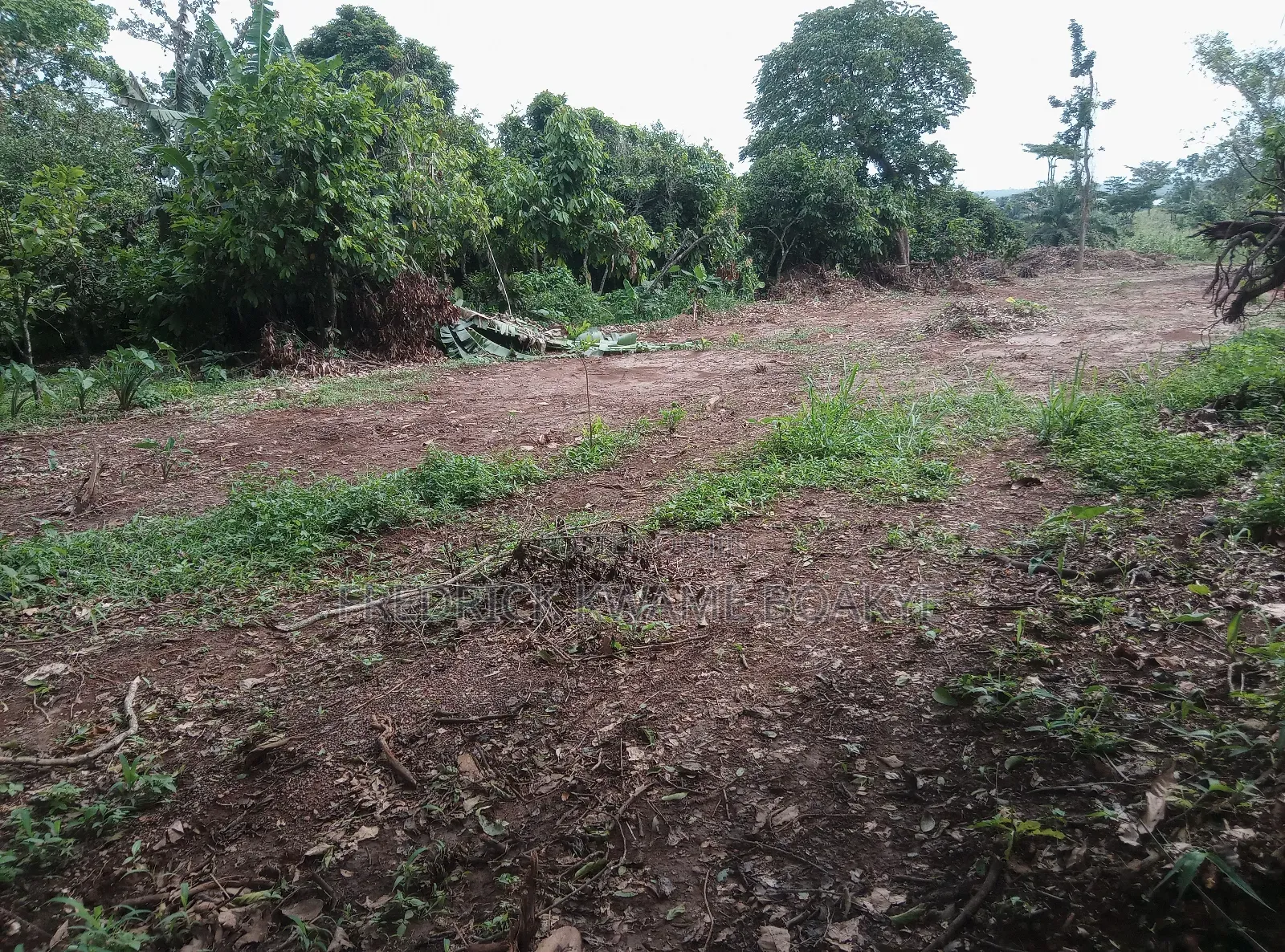 20 Acres of Land for Sale at Abuakwa Atwima Area
