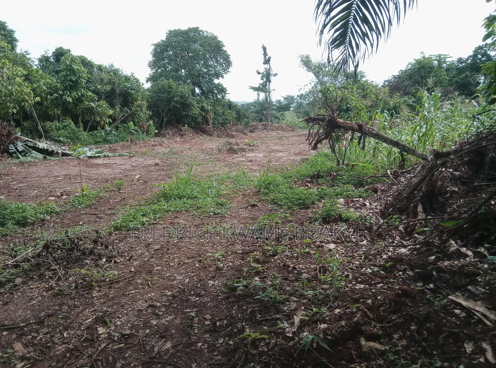20 Acres of Land for Sale at Abuakwa Atwima Area