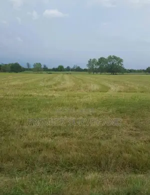 Expert in Land Survey