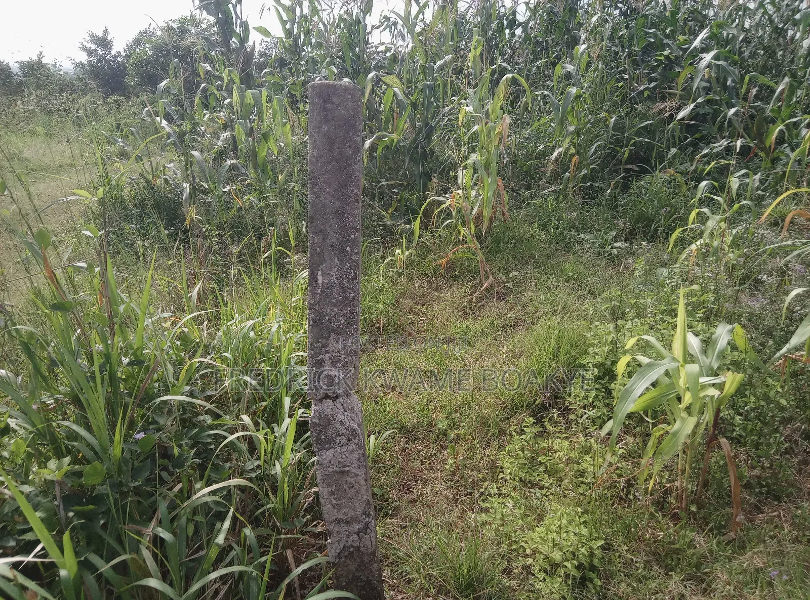 Plot of Land for Sale at Abuakwa Sepase