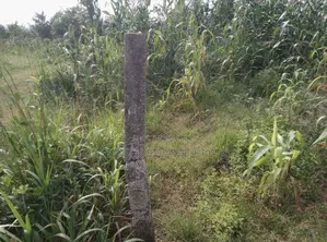 Plot of Land for Sale at Abuakwa Sepase