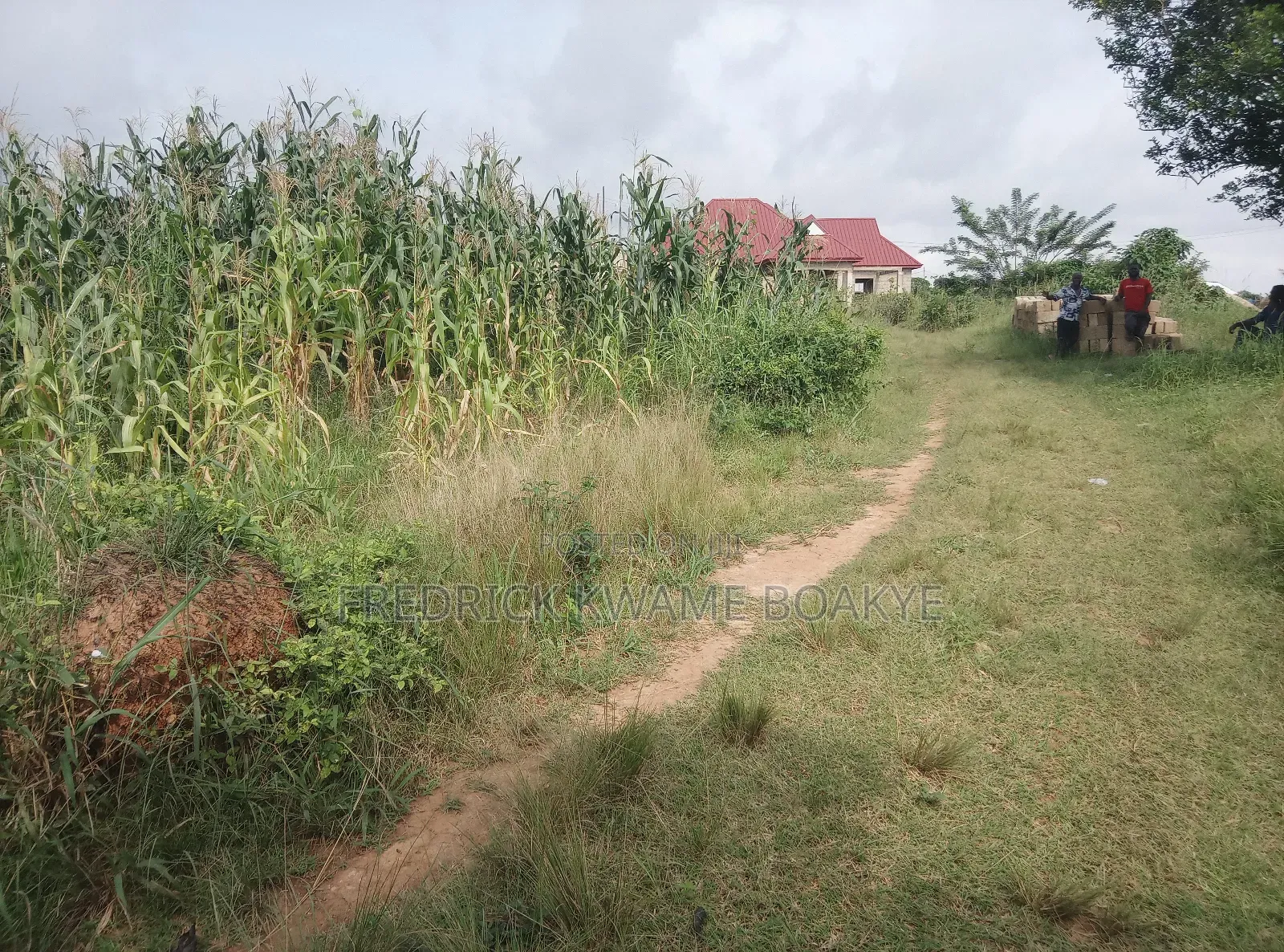 Plot of Land for Sale at Abuakwa Sepase