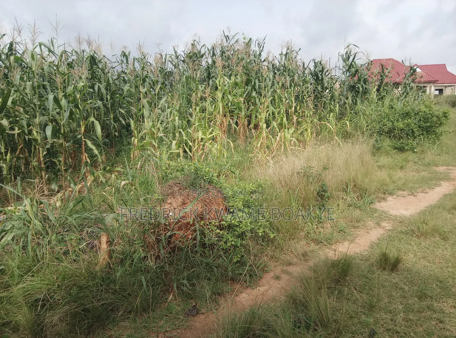 Plot of Land for Sale at Abuakwa Sepase