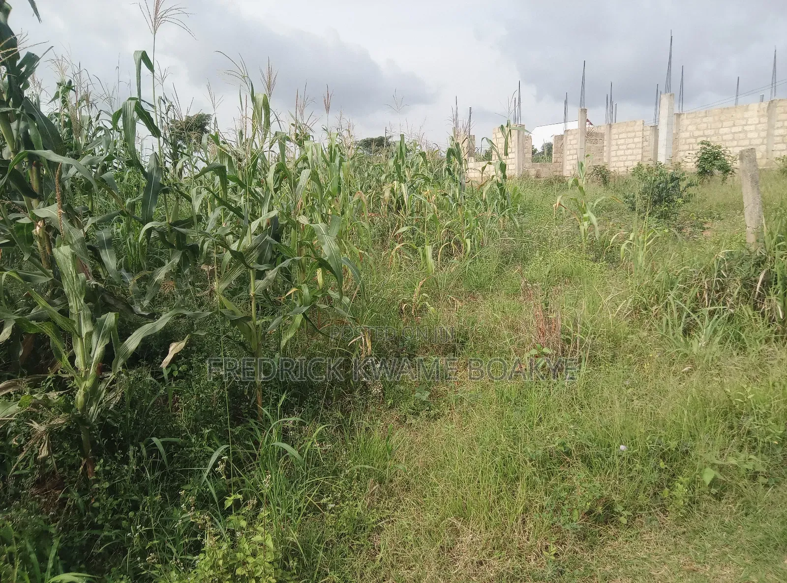 Plot of Land for Sale at Abuakwa Sepase
